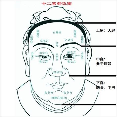 鬢角 面相|男人的鬓角在面相有什么说法